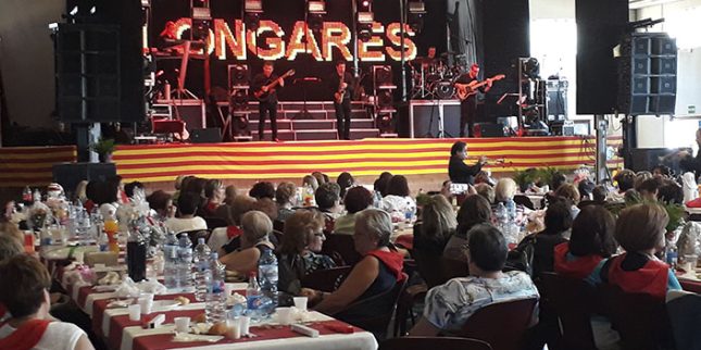 Fiestas Patronales (12)