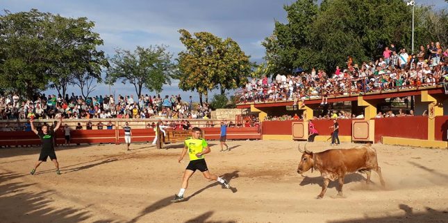 Fiestas Patronales (7)