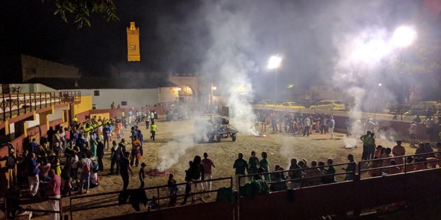 Fiestas Patronales (9)