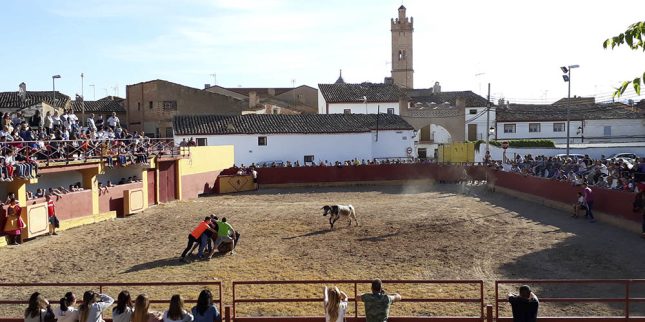 Santa Espina