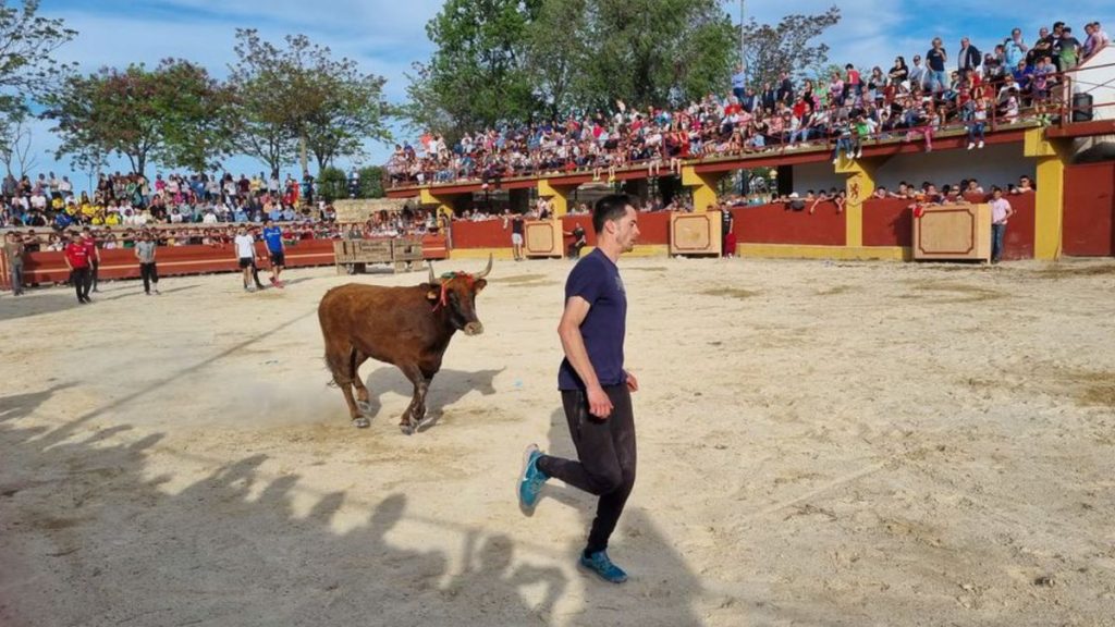 festejos taurinos