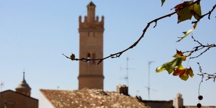 Torre de Longares 07