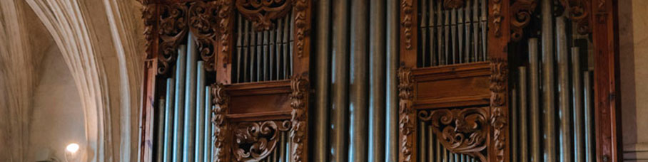Organo iglesia