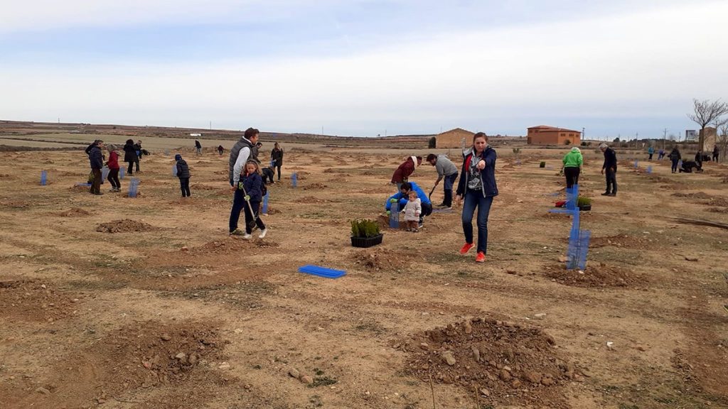 Plantación en Longares 1