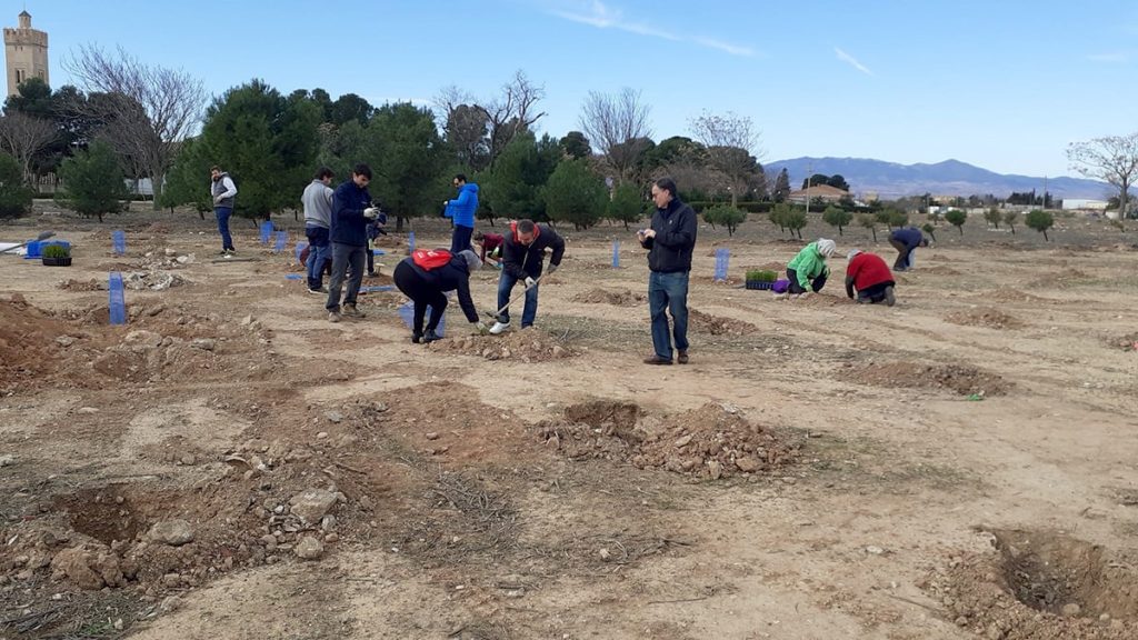 Plantación en Longares 2