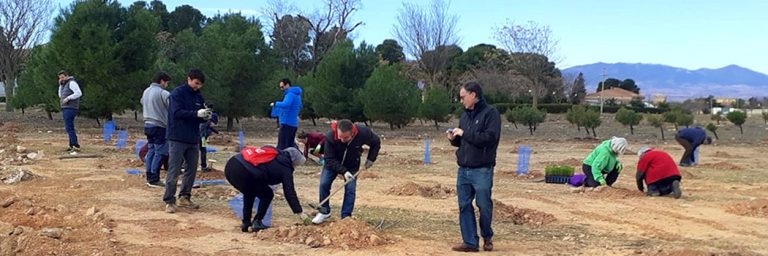 noticia plantacion