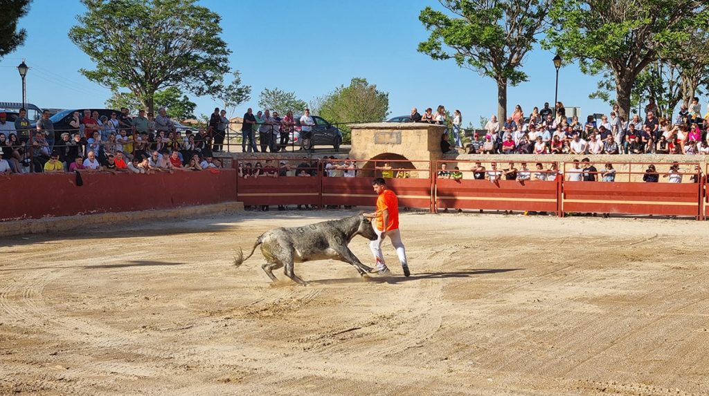Festejos taurinos