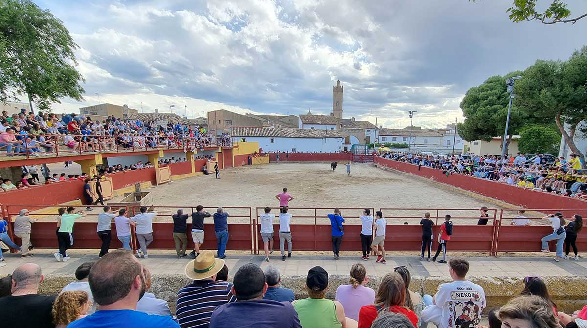 Vaquillas en plaza de toros de Longares