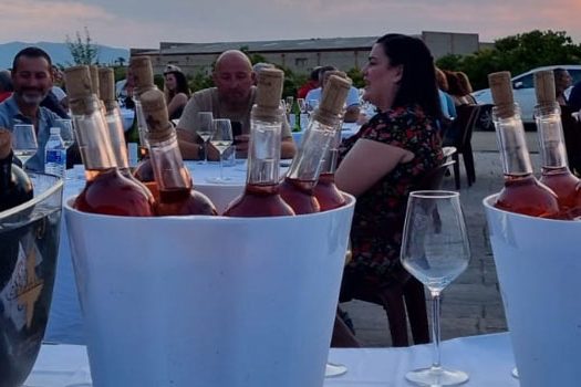 Cata con paisaje en Longares