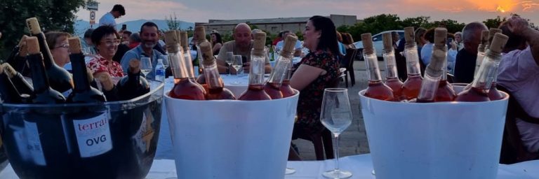 Cata con paisaje en Longares