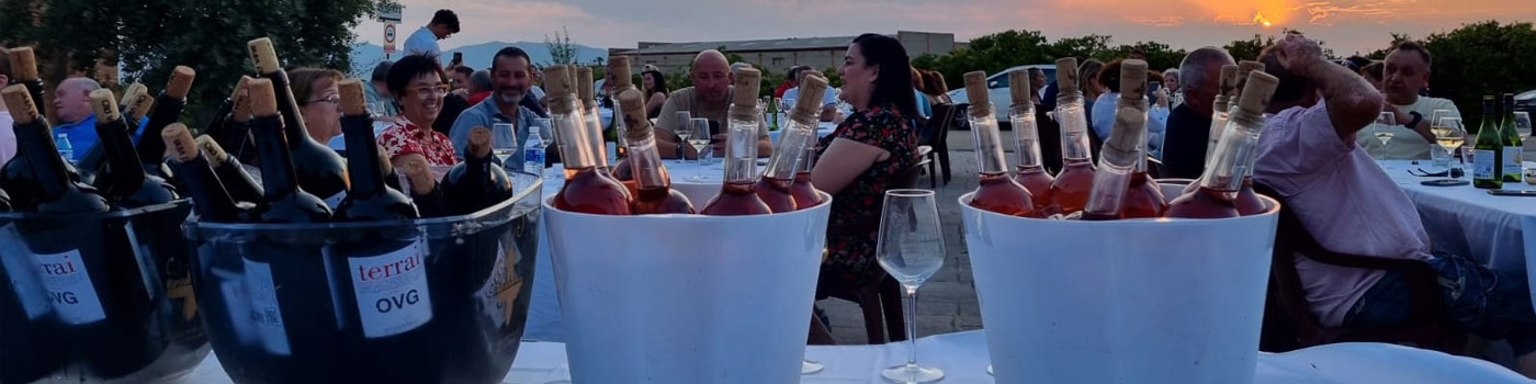 Cata con paisaje en Longares Cata con paisaje en Longares