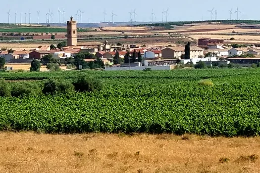 Longares