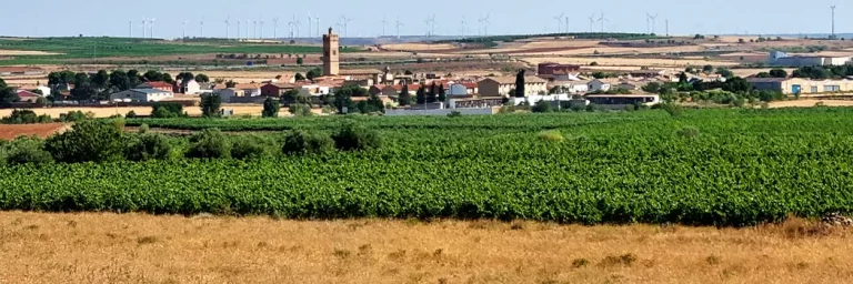 Longares