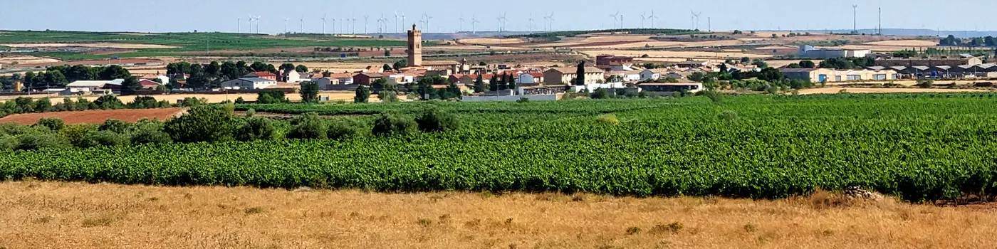 Longares