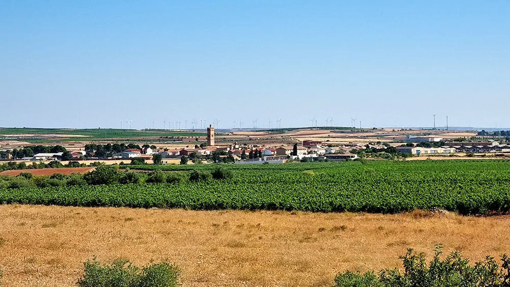 Longares